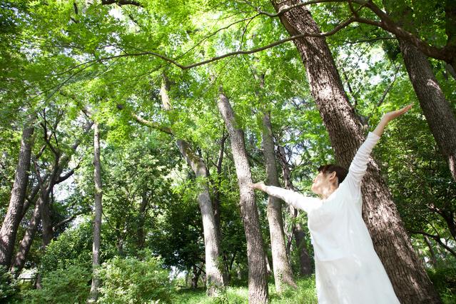 ブナの木整体院院長