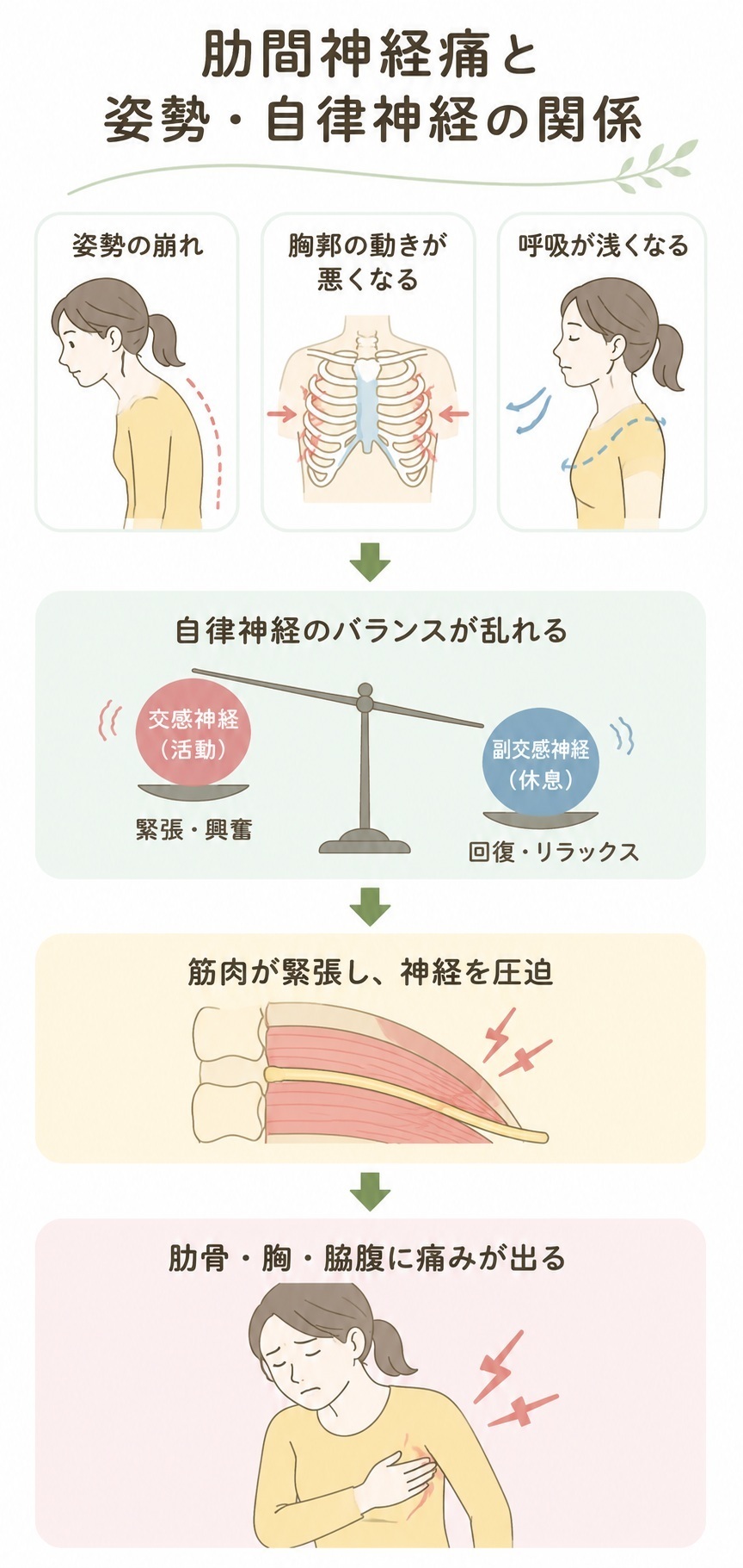 肋間神経痛と自律神経の関係