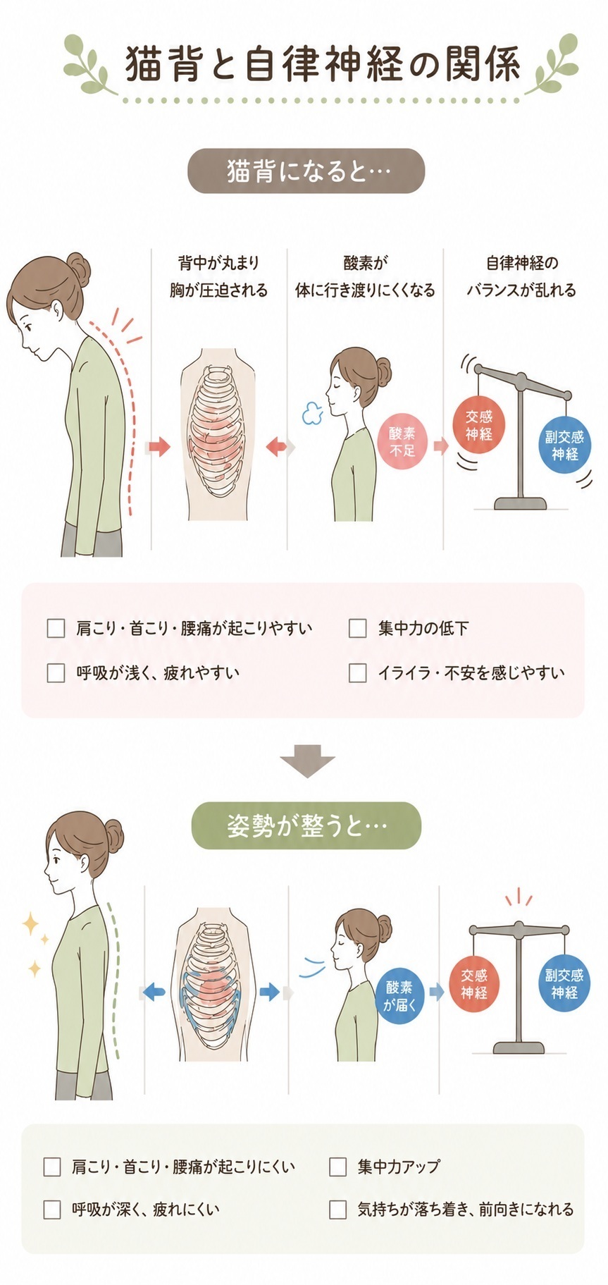 猫背姿勢と自律神経の関係のイラスト