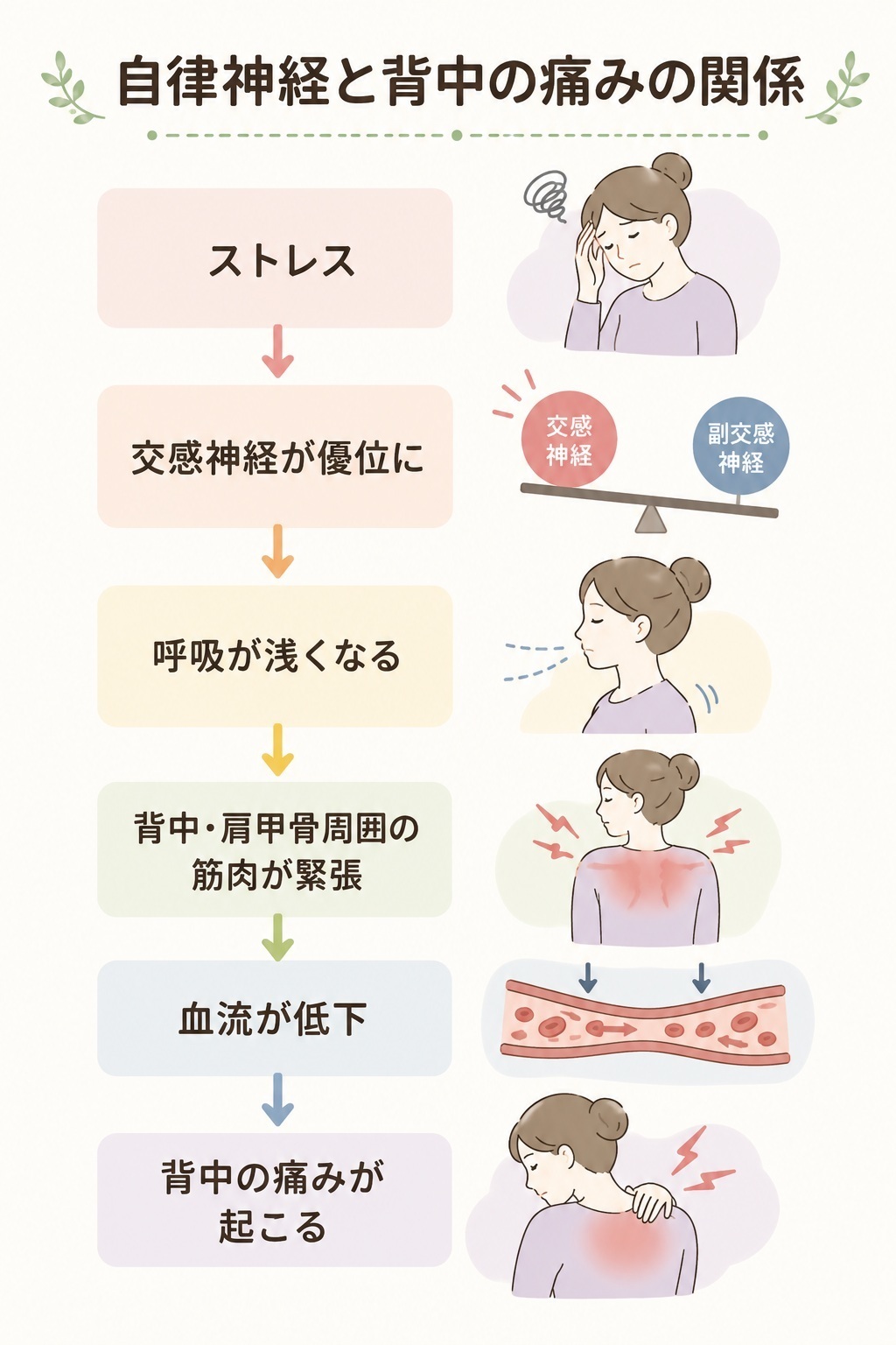 背中の痛みと自律神経の関係のイラスト