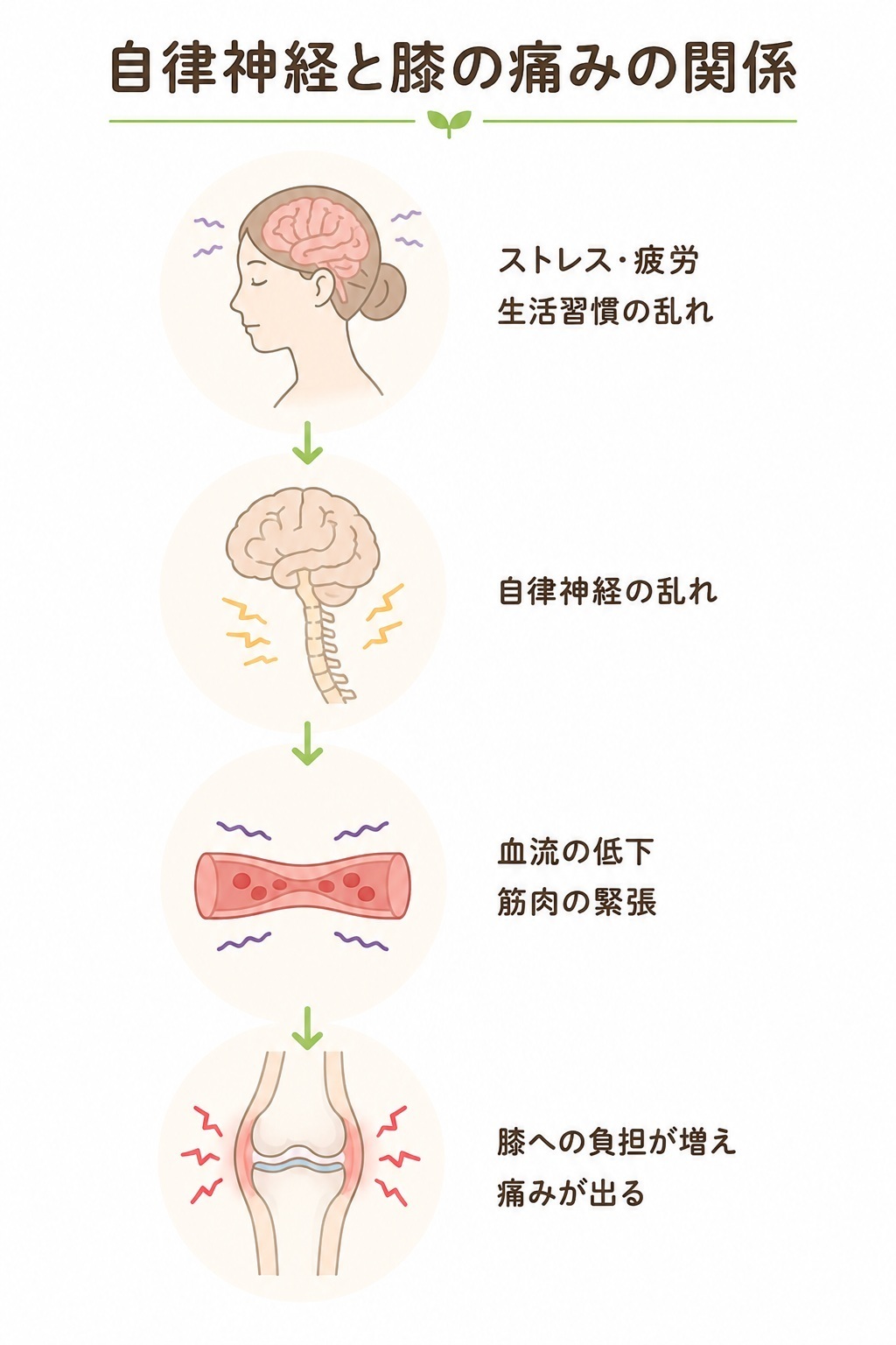膝痛と自律神経の関係のイラスト