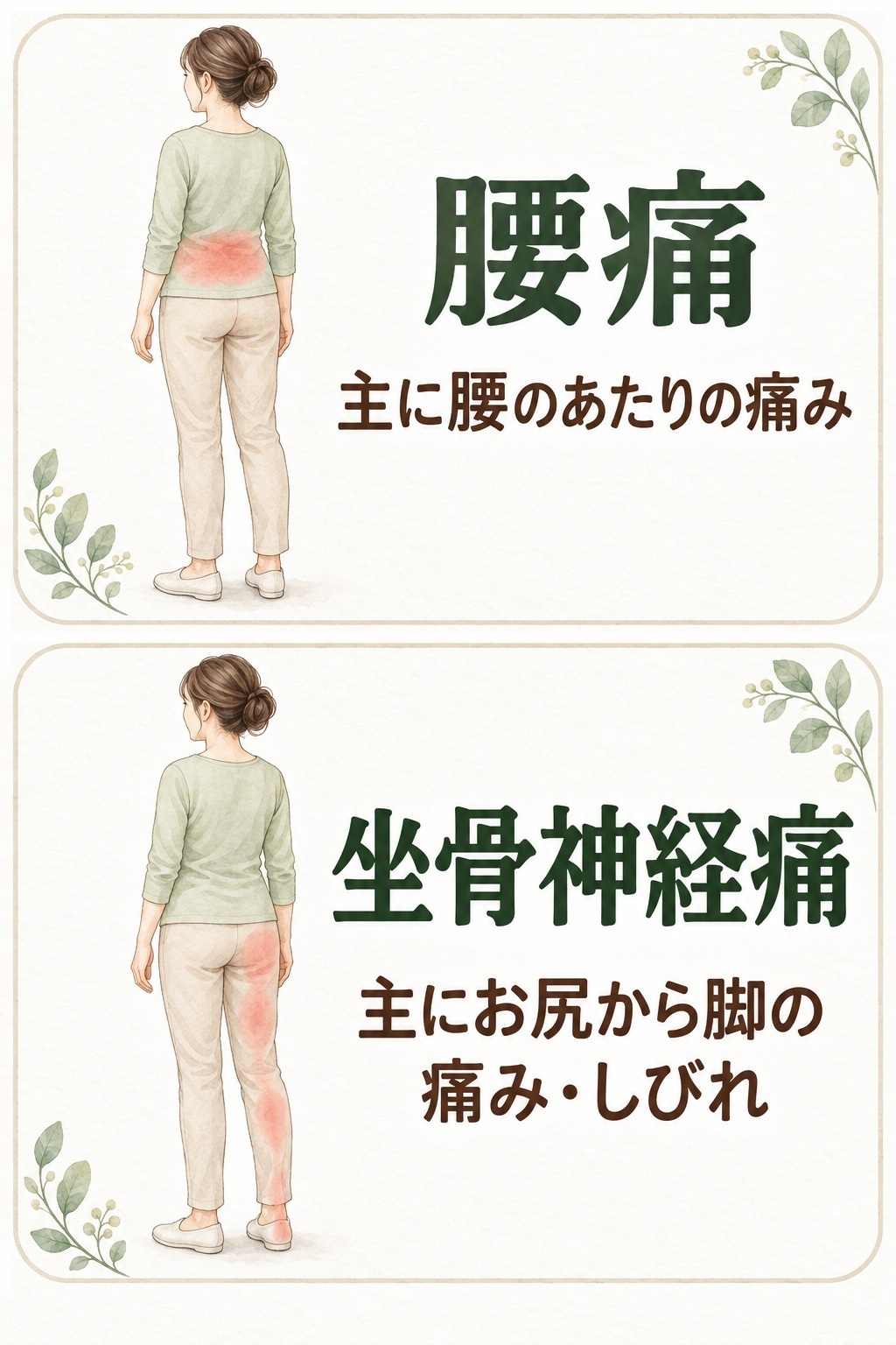 腰痛と坐骨神経痛の違い