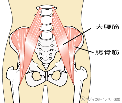 腰痛 山形市で整体なら自律神経調整のブナの木整体院